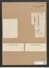 Nitzschia palea var. tenuirostris V. H. (de-Toni-Nr.: Genus 47, Species 2127) Zeichnungen Sammlung Grunow Nr. 4268 (NHMW-BOT-W0372261)